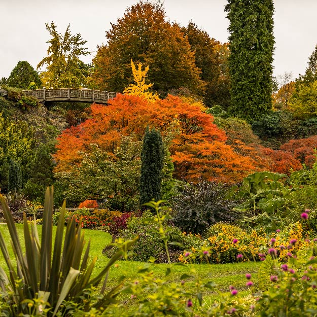 the phto of Queen Elizabeth Park