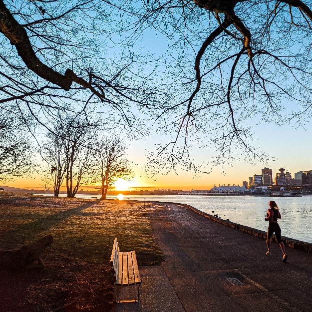 the phto of Stanley Park