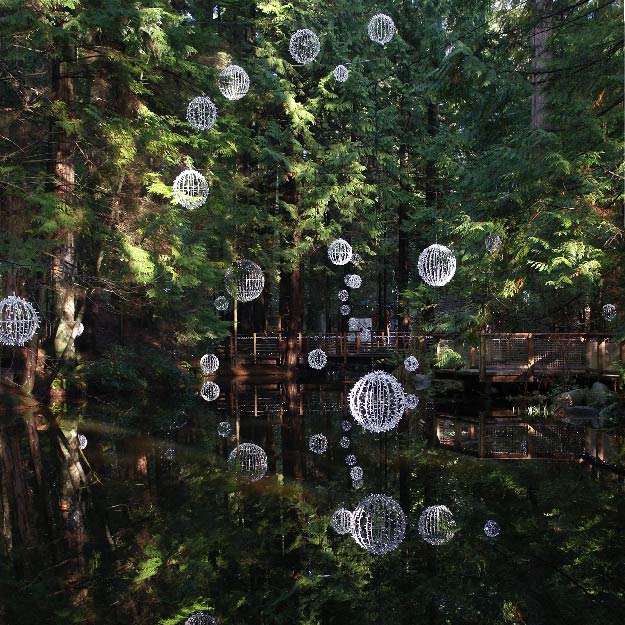 the phto of Capilano Suspension Bridge Park