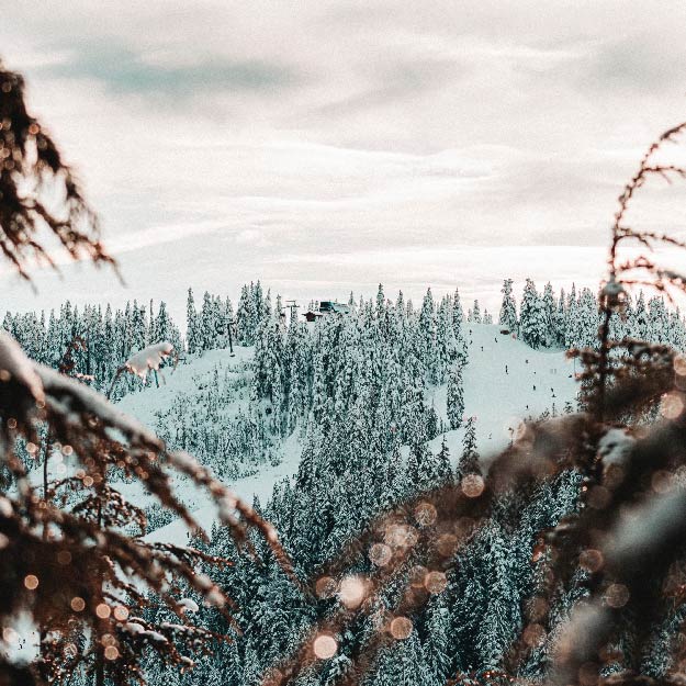 the phto of Cypress Mountain